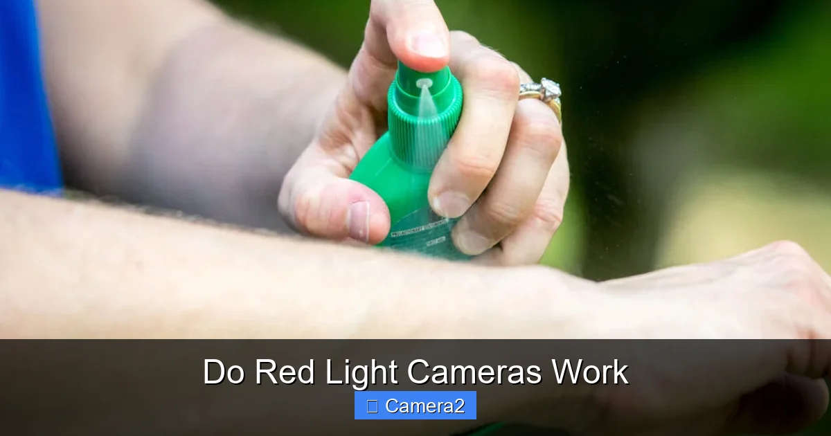 Do Red Light Cameras Work