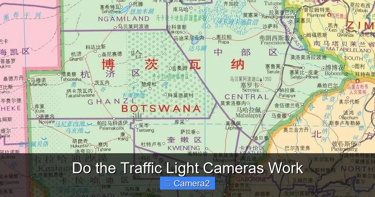 Do the Traffic Light Cameras Work
