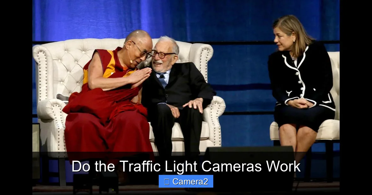Do the Traffic Light Cameras Work