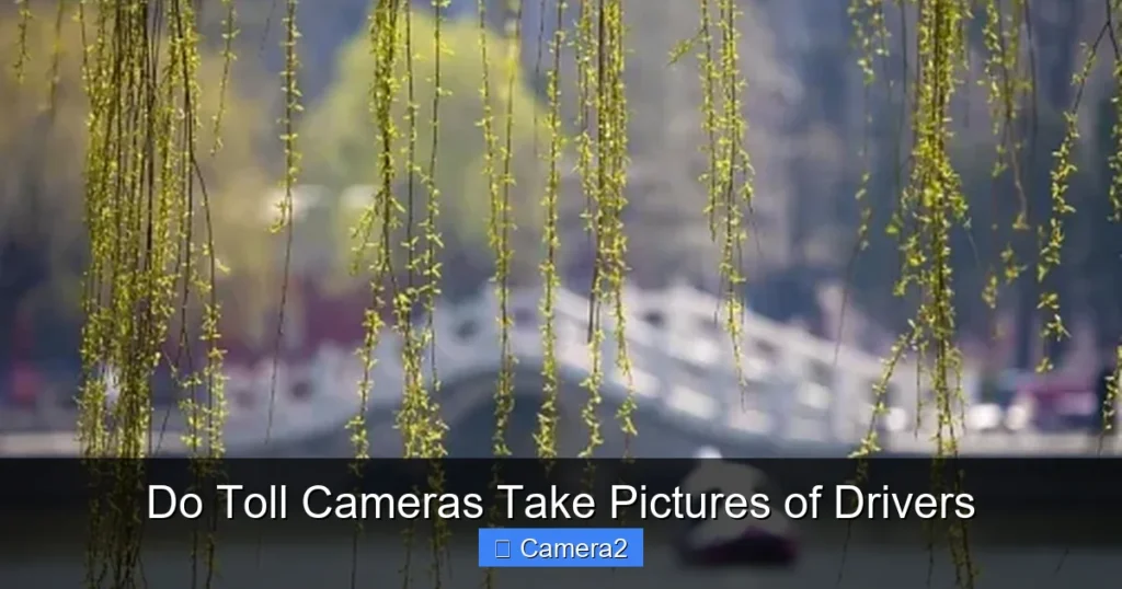 Do Toll Cameras Take Pictures of Drivers