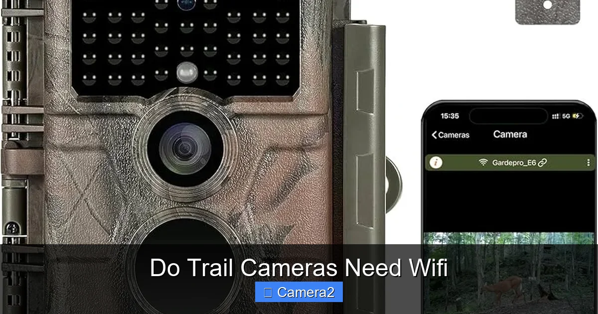 Do Trail Cameras Need Wifi