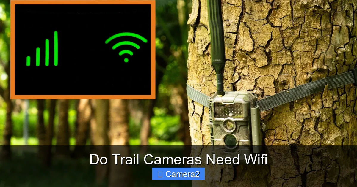 Do Trail Cameras Need Wifi