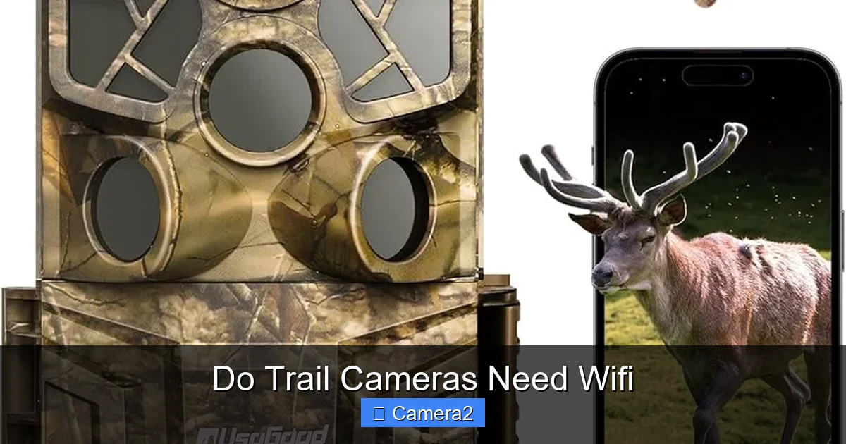 Do Trail Cameras Need Wifi