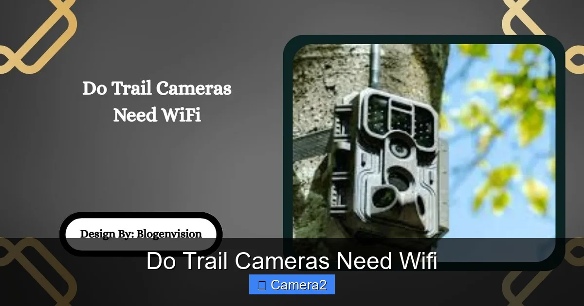 Do Trail Cameras Need Wifi