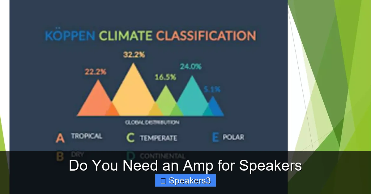 Do You Need an Amp for Speakers