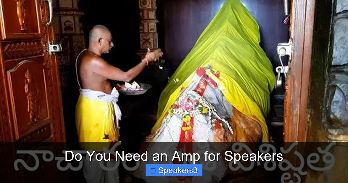 Do You Need an Amp for Speakers
