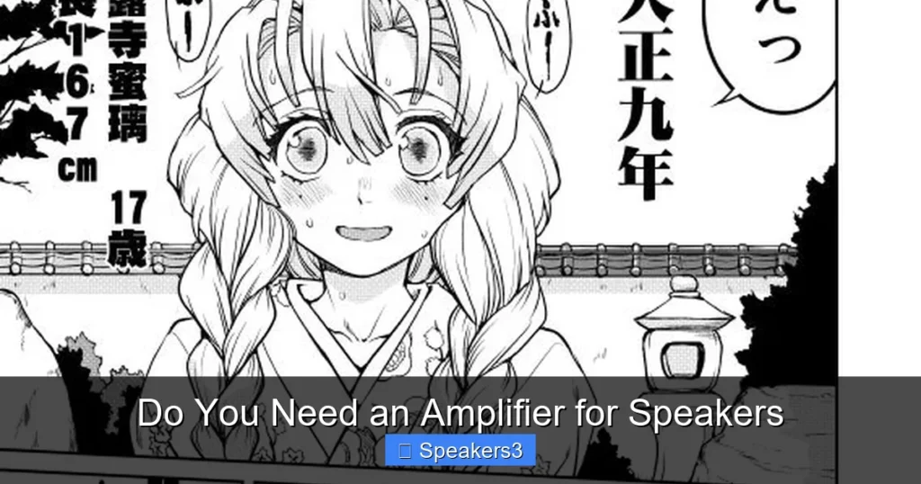 Do You Need an Amplifier for Speakers