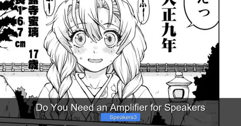Do You Need an Amplifier for Speakers