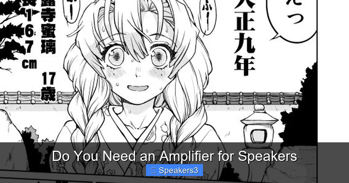 Do You Need an Amplifier for Speakers