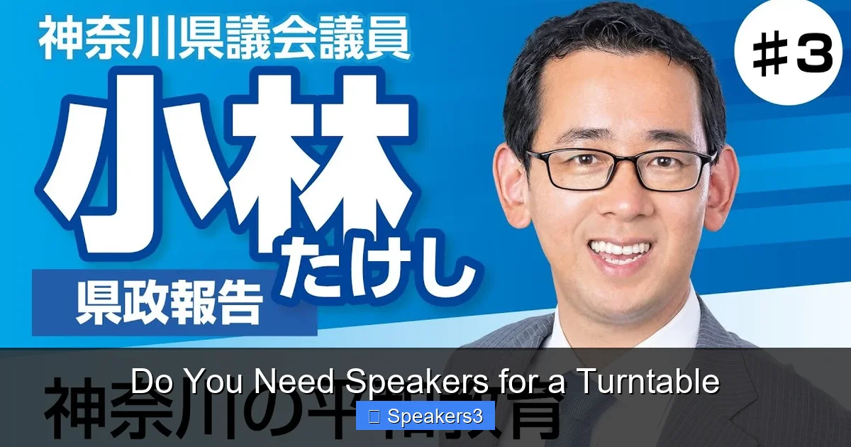 Do You Need Speakers for a Turntable