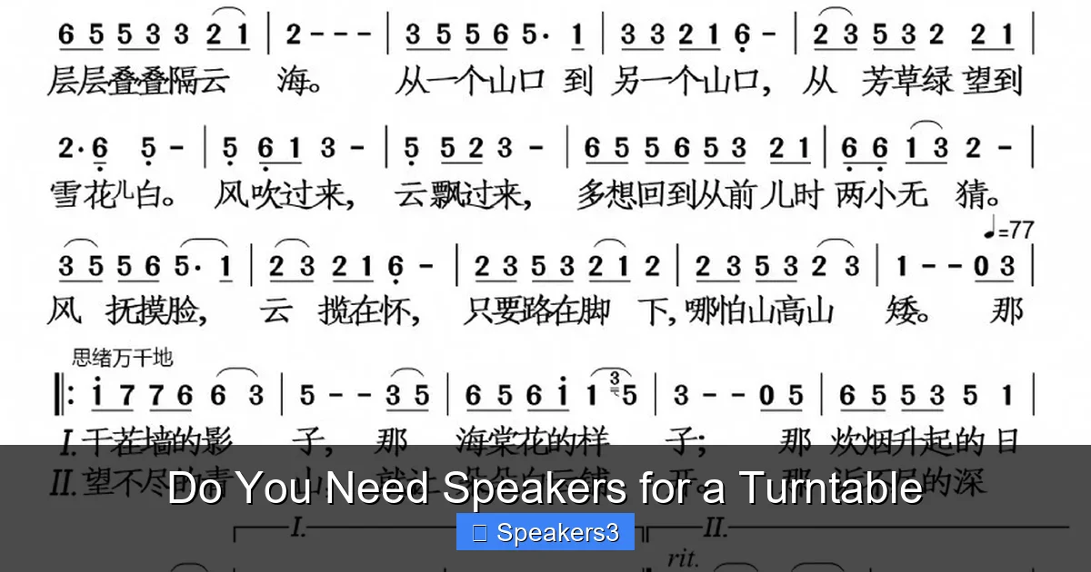 Do You Need Speakers for a Turntable
