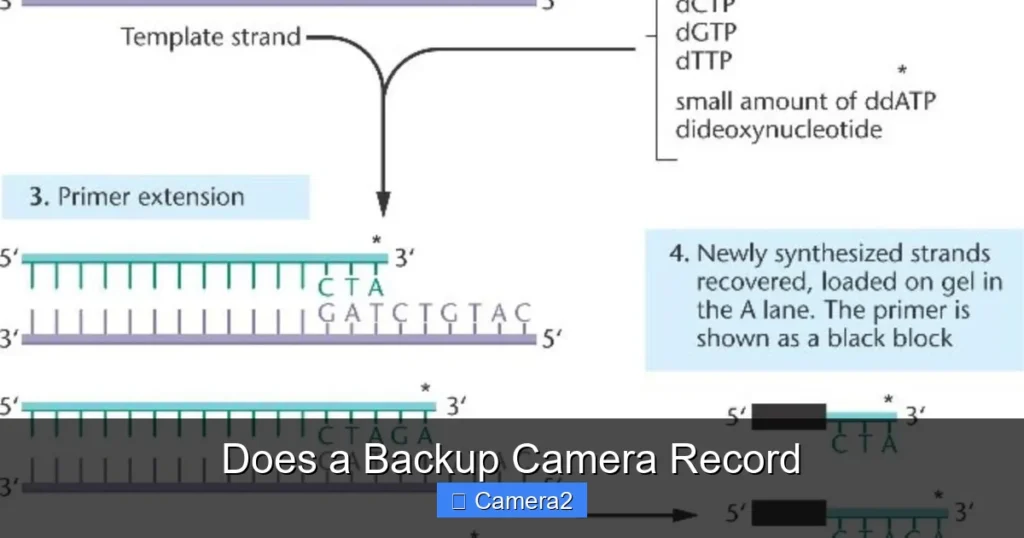 Does a Backup Camera Record