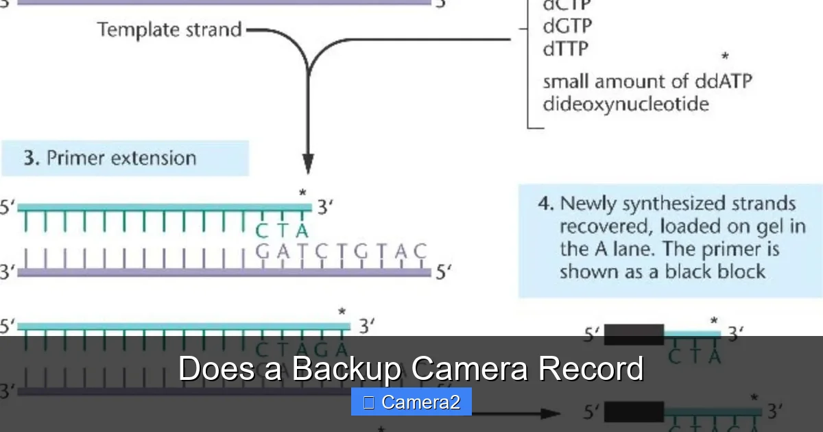 Does a Backup Camera Record