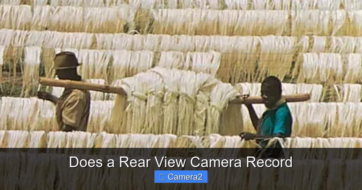 Does a Rear View Camera Record
