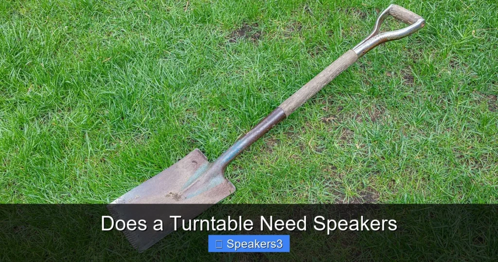 Does a Turntable Need Speakers