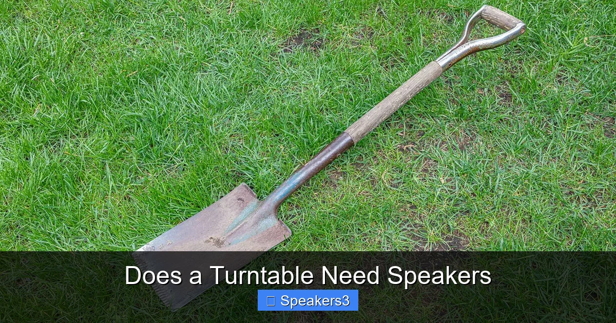 Does a Turntable Need Speakers
