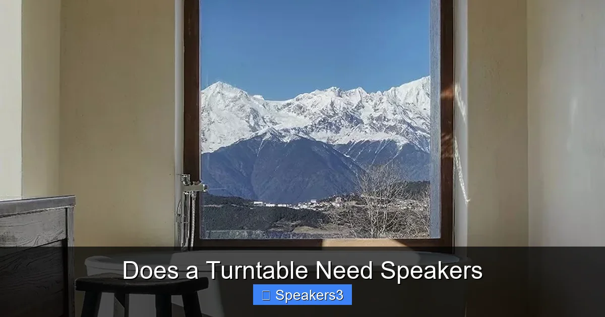 Does a Turntable Need Speakers