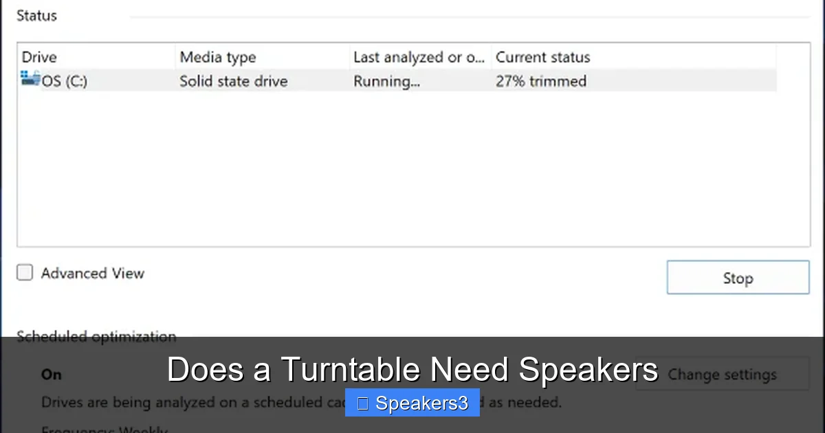 Does a Turntable Need Speakers