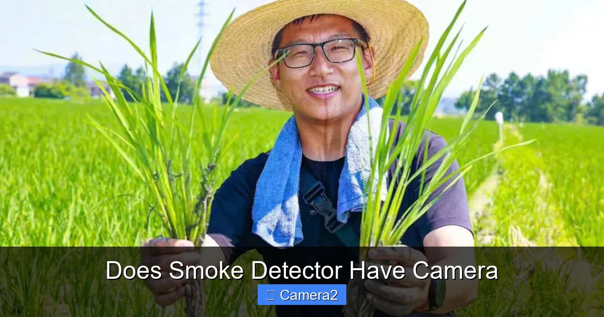 Does Smoke Detector Have Camera
