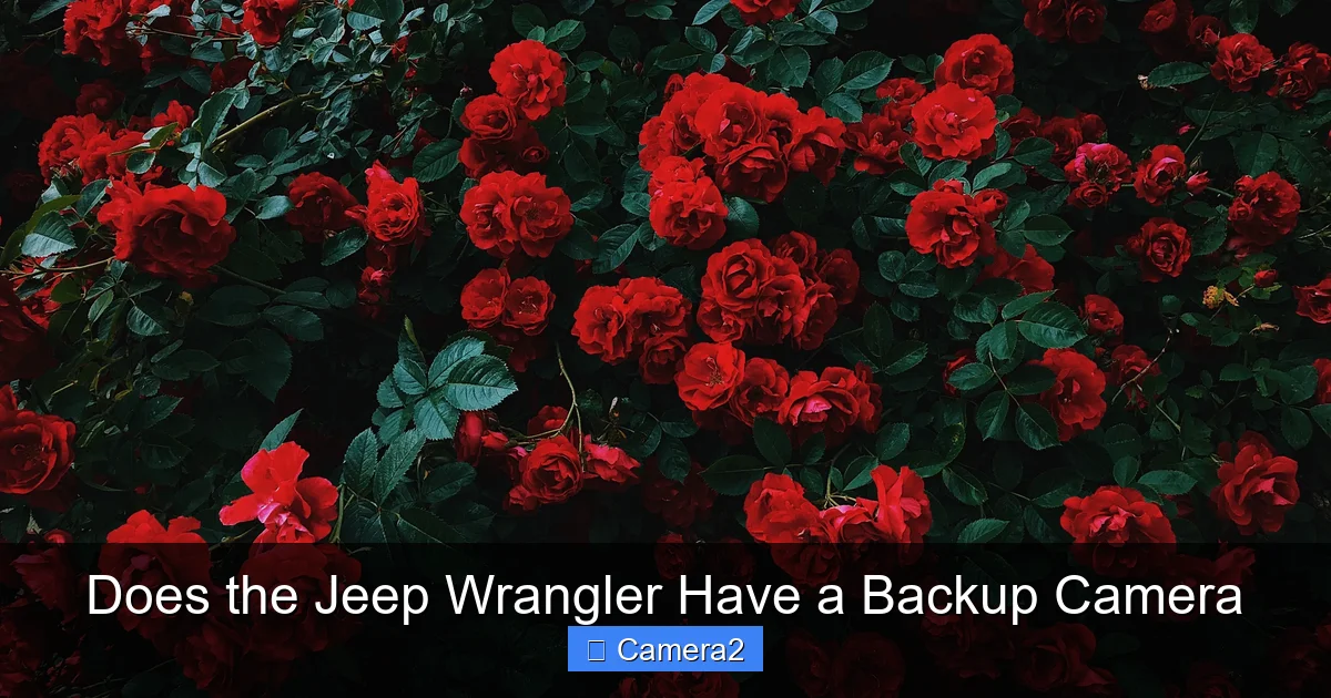 Does the Jeep Wrangler Have a Backup Camera