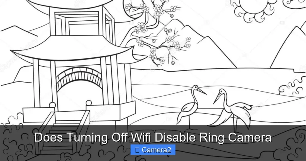 Does Turning Off Wifi Disable Ring Camera