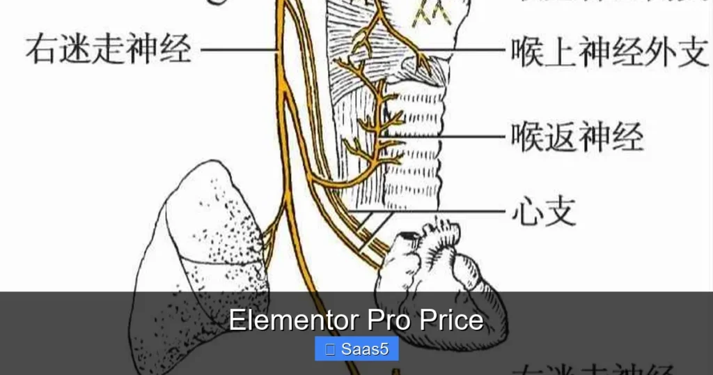 Elementor Pro Price