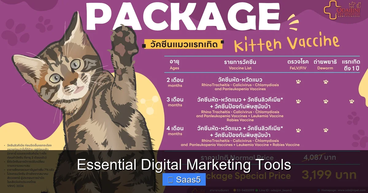 Essential Digital Marketing Tools