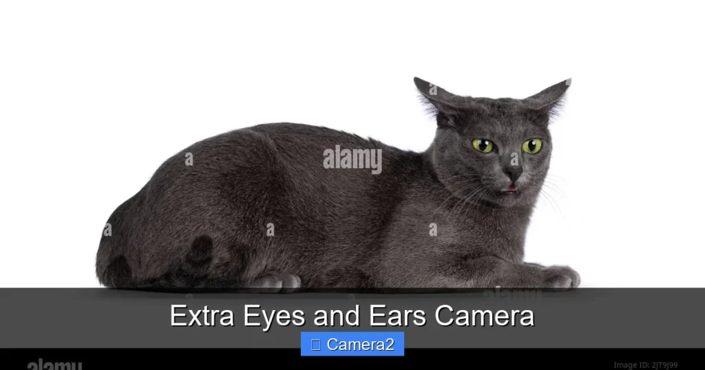 Extra Eyes and Ears Camera
