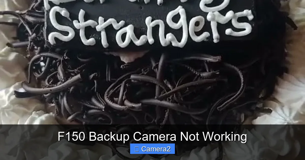 F150 Backup Camera Not Working