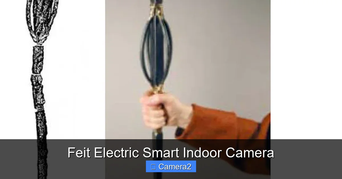 Feit Electric Smart Indoor Camera