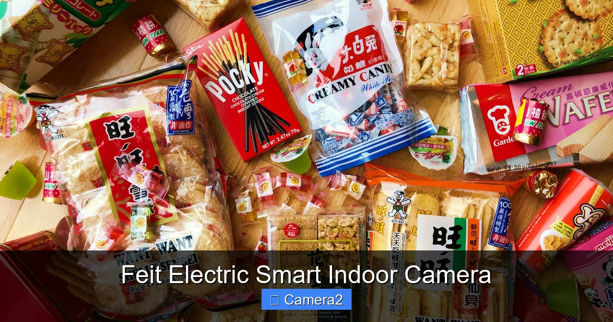 Feit Electric Smart Indoor Camera