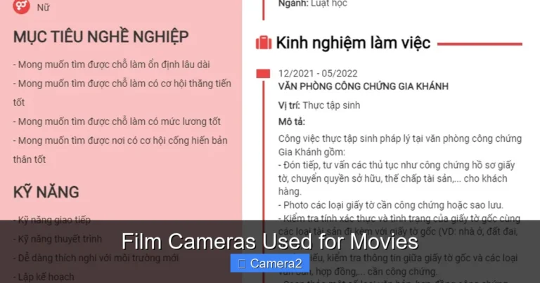 Film Cameras Used for Movies