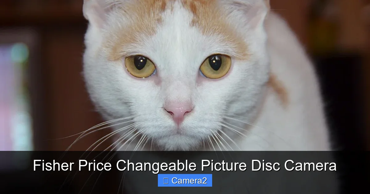 Fisher Price Changeable Picture Disc Camera