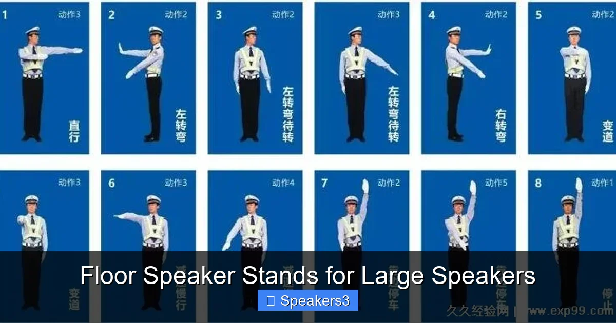 Floor Speaker Stands for Large Speakers