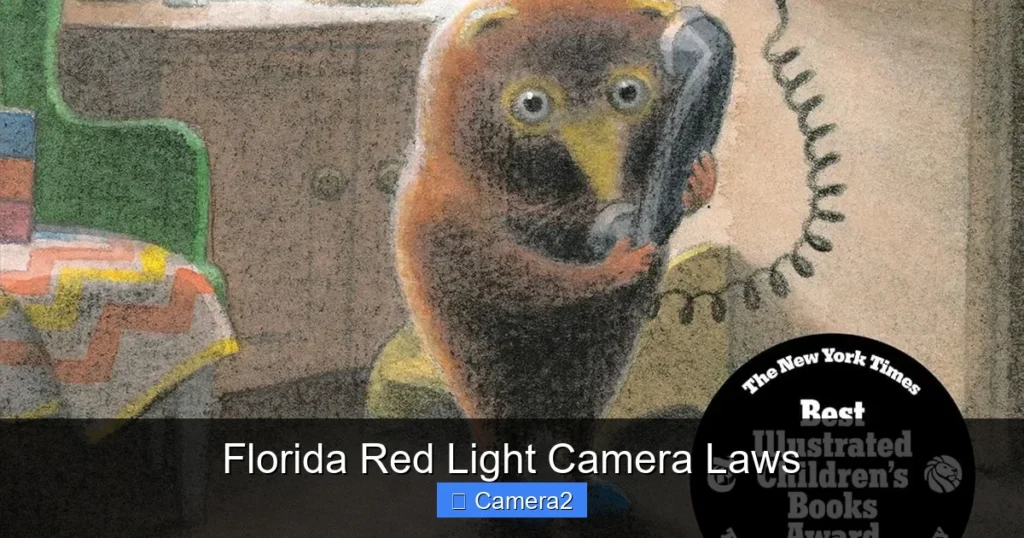 Florida Red Light Camera Laws