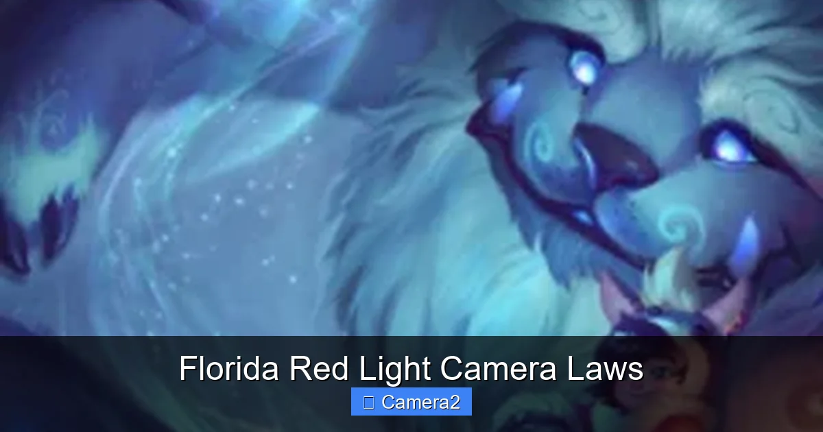 Florida Red Light Camera Laws
