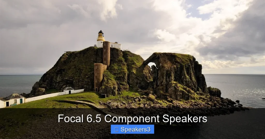 Focal 6.5 Component Speakers