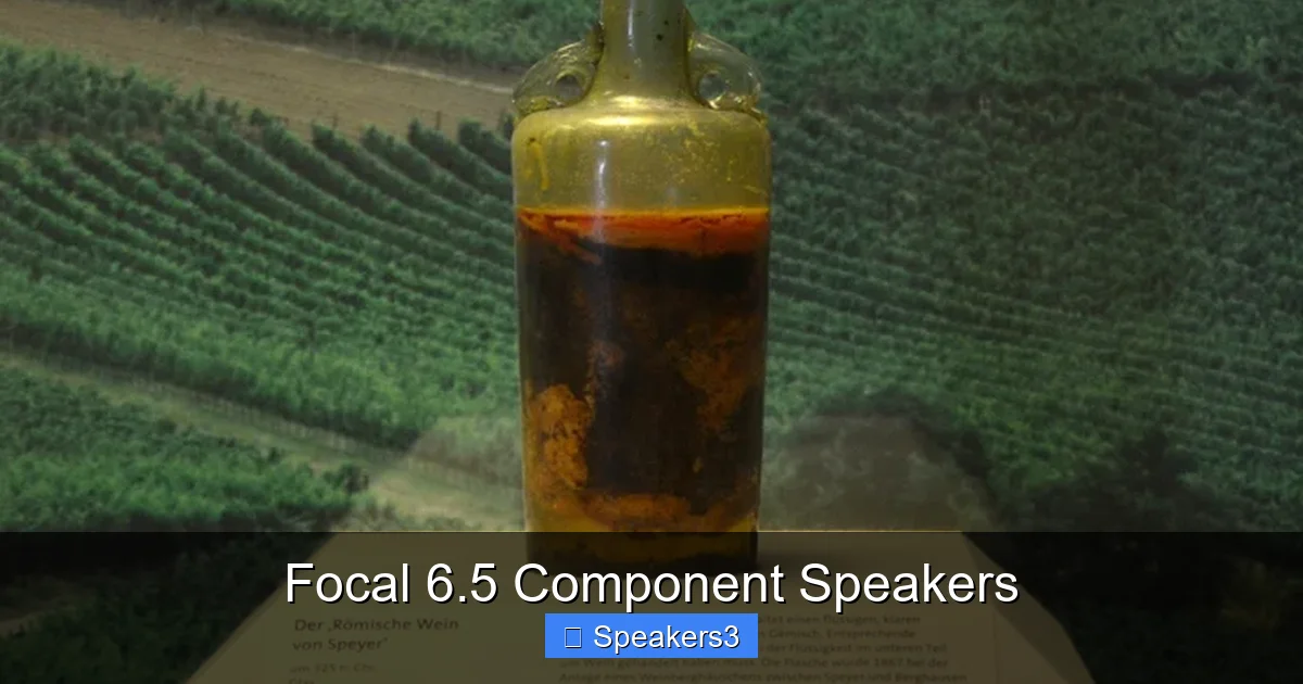 Focal 6.5 Component Speakers