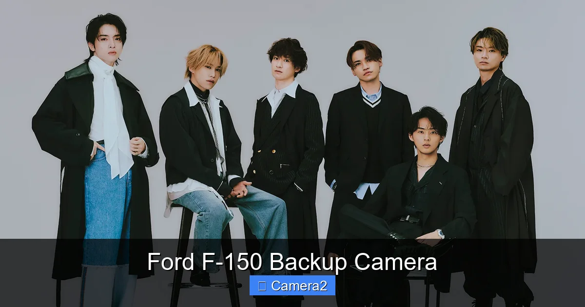 Ford F-150 Backup Camera