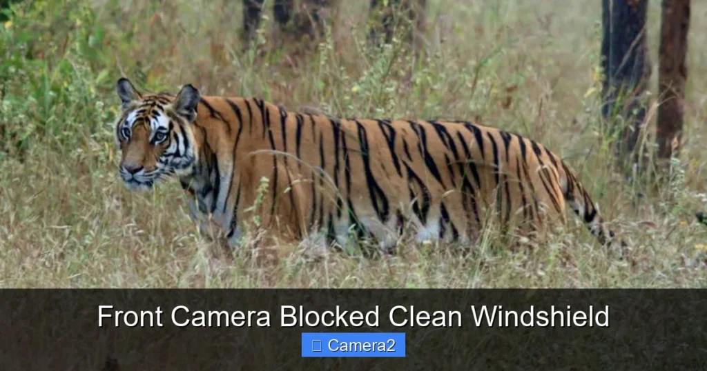 Front Camera Blocked Clean Windshield