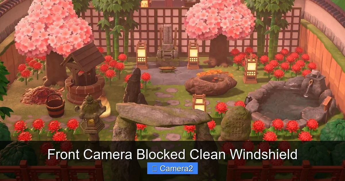 Front Camera Blocked Clean Windshield