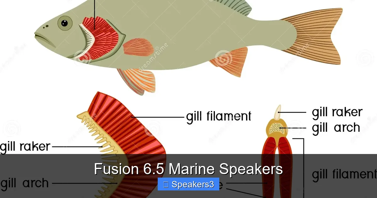 Fusion 6.5 Marine Speakers