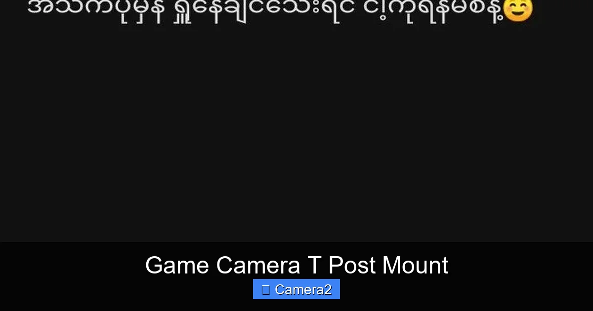 Game Camera T Post Mount