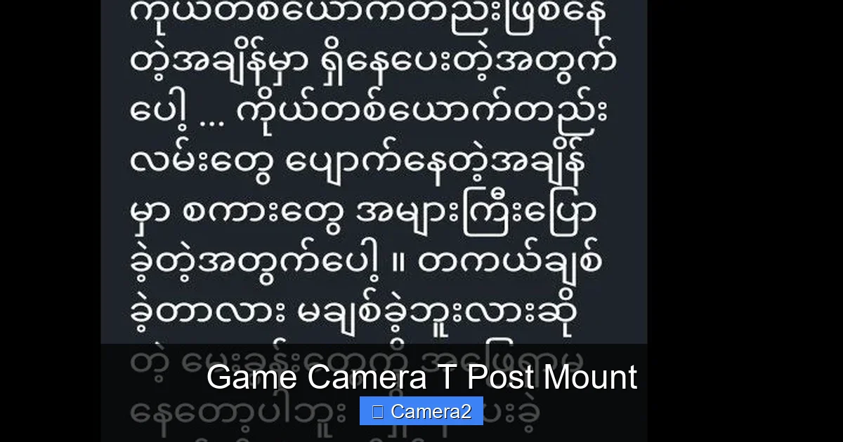 Game Camera T Post Mount