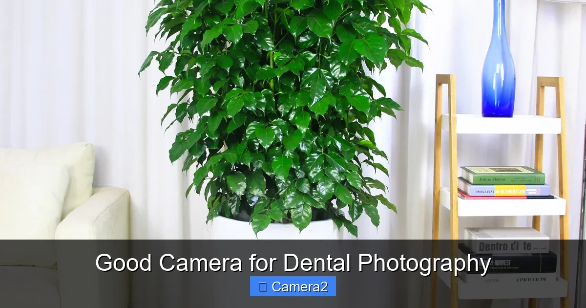 Good Camera for Dental Photography