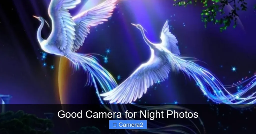 Good Camera for Night Photos