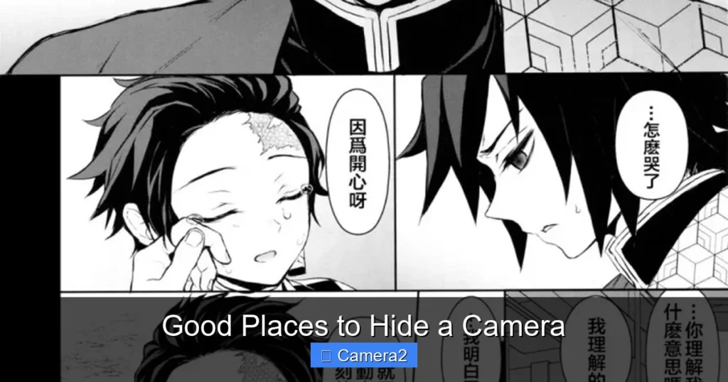 Good Places to Hide a Camera