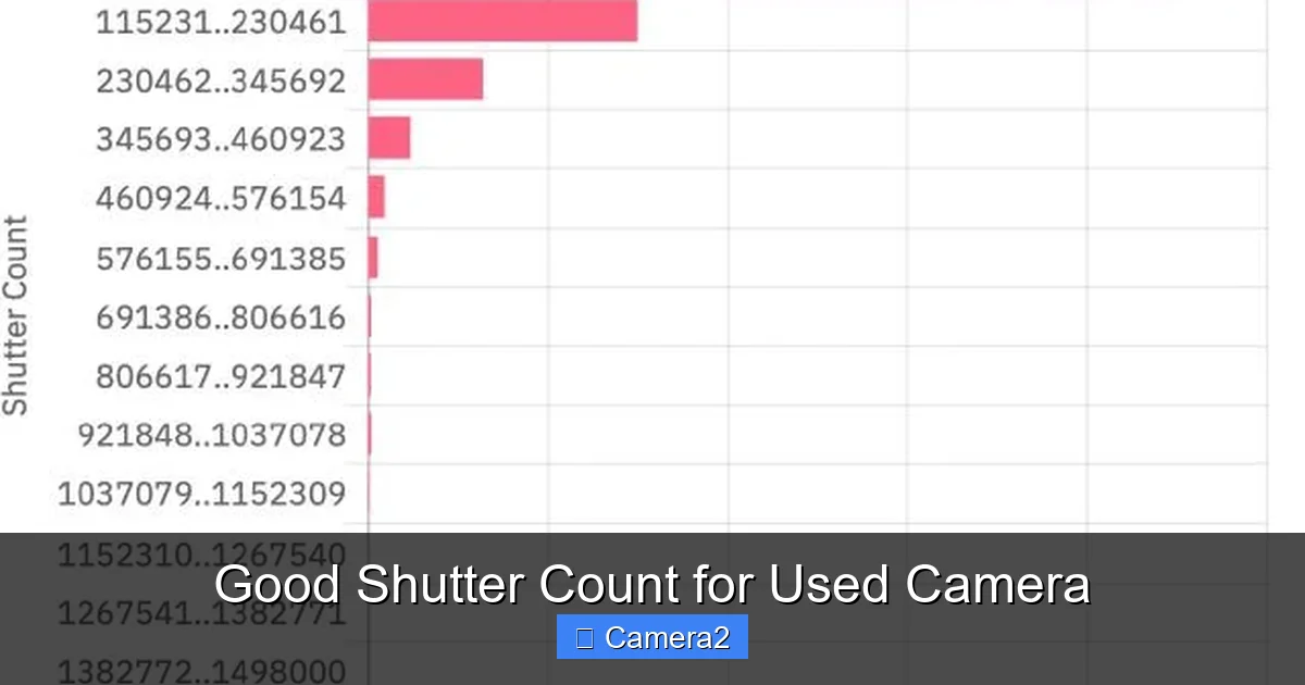 Good Shutter Count for Used Camera