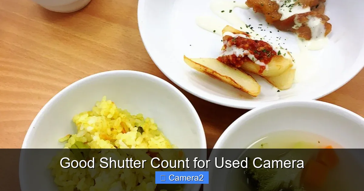 Good Shutter Count for Used Camera