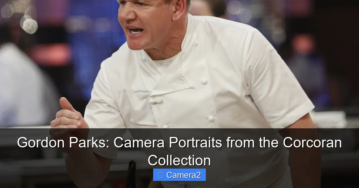 Gordon Parks: Camera Portraits from the Corcoran Collection